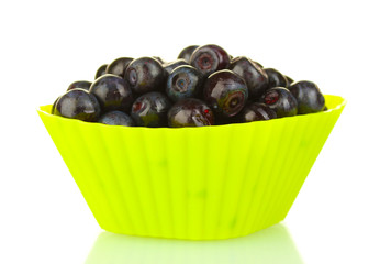 Fresh blueberries in colorful silicone mold isolated on white