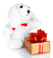 White bunny and gift box isolated on white