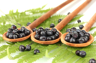 Tasty blueberries in wooden spoons on fern close-up