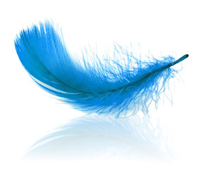 Blue plume with reflection
