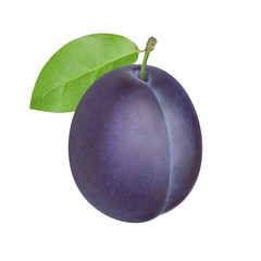 Plum on a white background