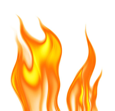 flames on a white background