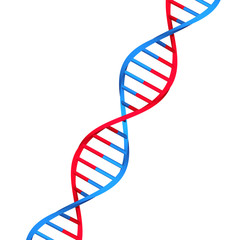 molecule dna on white background