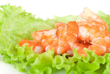 Green salad with shrimps