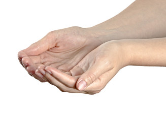 Hands isolated on white