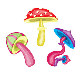 Toxic mushrooms