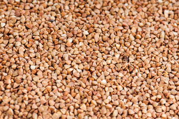 buckwheat texture