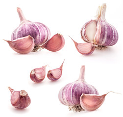 Collection of Garlic isolated on white