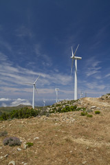 eoliennes en Corse (commune d'Ersa dans le cap corse)
