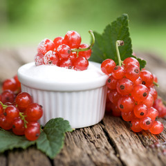 Johannisbeeren, Gelierzucker