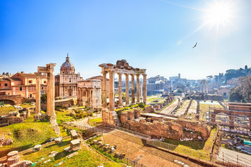 Roman ruins in Rome, Forum - obrazy, fototapety, plakaty