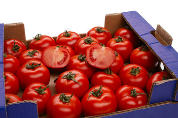 tomato in a box