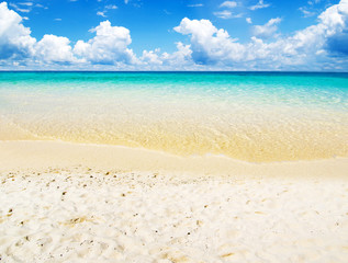 Summer beach and sea