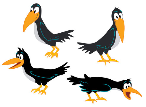 Crows collection