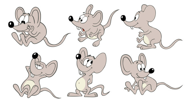 Mouses collection