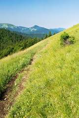 Fototapeta na wymiar Mountain ridge-Nat. park Greater Fatra-Slovakia/Europe