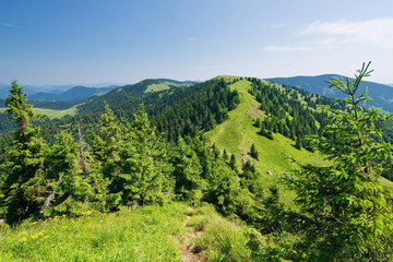 Mountain ridge-Nat. park Greater Fatra-Slovakia/Europe