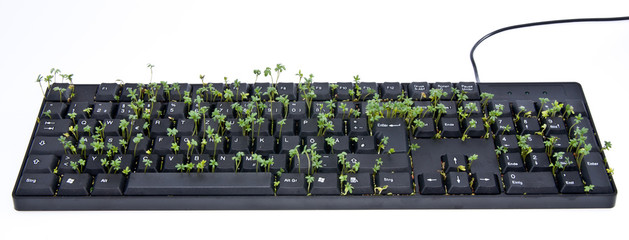 Keyboard with garden cress