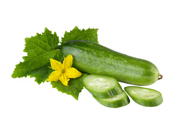fresh cucumber isolated on white
