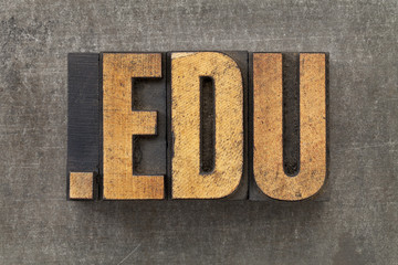 Fototapeta premium internet domain for education