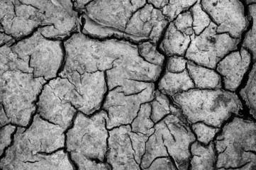Cracked earth texture