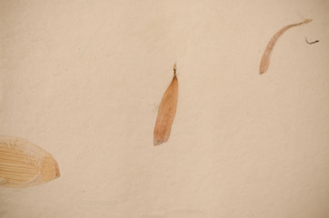 Recycled paper texture
