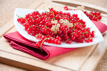 Studio shot of a glass plate with red currant
