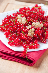 Close-up of fresh red currant on a glass plate