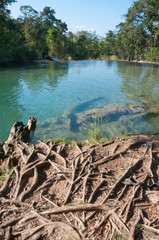 River of the Agua Azul waterfalls, Chiapas, Mexico