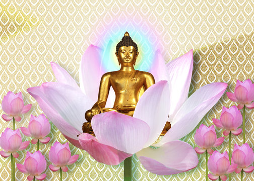 Gold buddha still with colorful ray on pink lotus