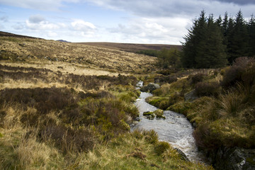 Flowing water inside Wicklow and Sally Gap, Ireland