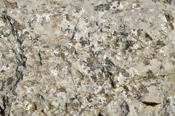 Stone pattern background