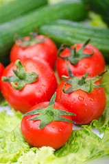 Tomatoes and cucumbers ready for salad