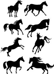 horse set