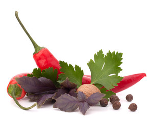 Hot red chili or chilli pepper and aromatic herbs leaves still l