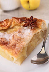 gourmet apple pie