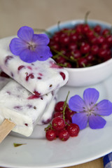 Hausgemachtes Eis am Stiel