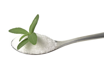 stevia rebaudiana  on a teaspoon