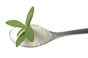 stevia rebaudiana healthy herb on teaspoon