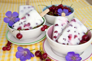 Selbstgemachtes Eis mit Früchten