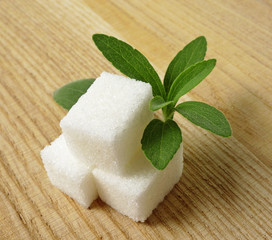 stevia rebaudiana and sugar on wooden background