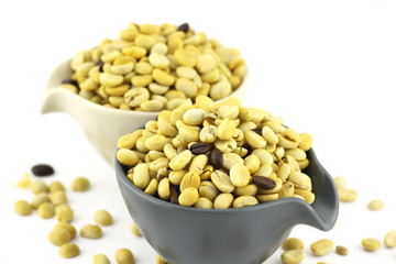 fresh coffee grains in cup  before roasted