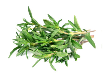 Thyme fresh herb