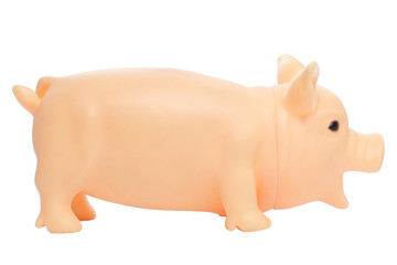 Toy Pig isolated on white background