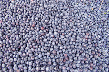 set of blue berries and blueberries for sale at the market