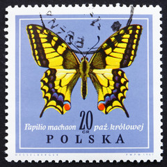 Postage stamp Poland 1967 Old World Swallowtail, Butterfly