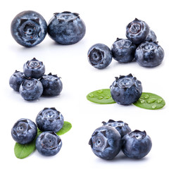 Collection of Blueberries isolated on white background