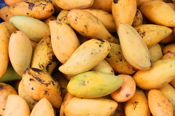 Fresh and ripe mangoes