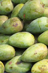 Piles of raw mangoes