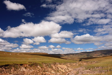 Farmland and sky